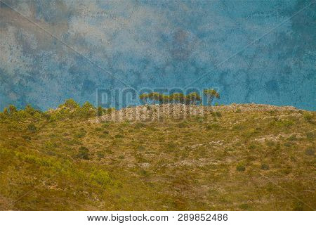 Textures Image Of Bucolic Landscape With Pines On A Hill Under Blue Sky