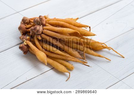 Finger Root
