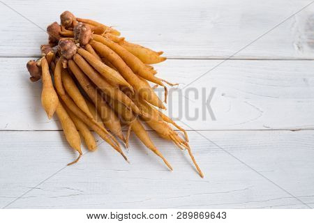 Finger Root