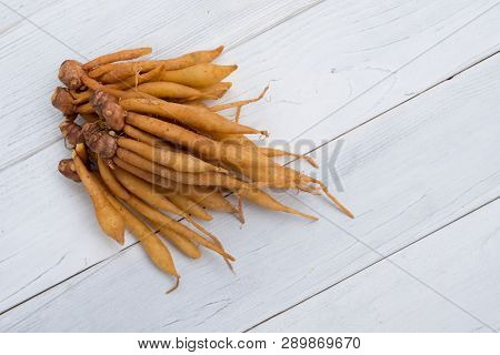 Finger Root