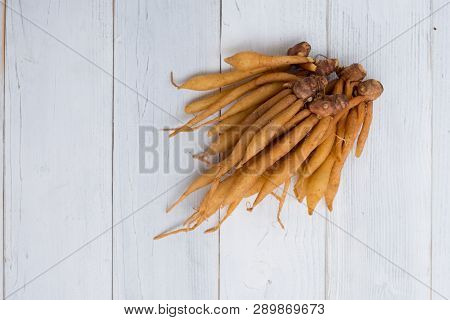Finger Root