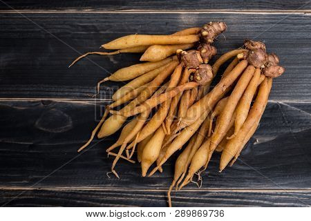 Finger Root