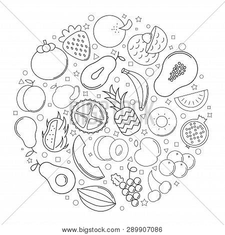 Fruit Circle Background From Line Icon. Linear Vector Pattern. Vector Illustration