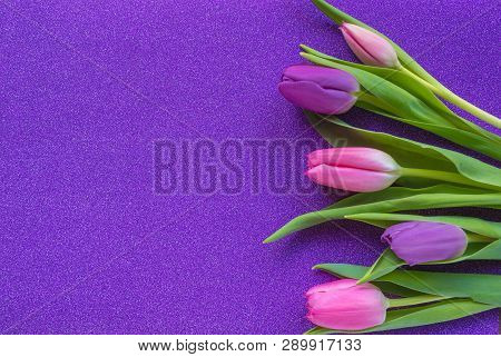 Purple And Pink Tulips On Purple Glitter Background With Copy Space