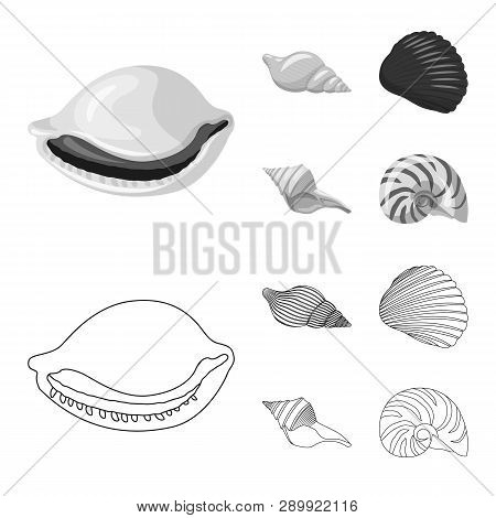 Vector Illustration Of Animal And Decoration Symbol. Collection Of Animal And Ocean Stock Vector Ill