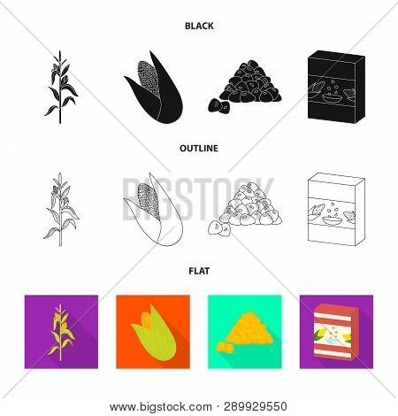 Isolated Object Of Cornfield And Vegetable Icon. Set Of Cornfield And Vegetarian Stock Vector Illust