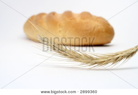Ekmek ve buğday kulak