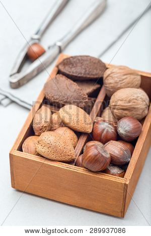 Different Kinds Of Nuts In The Shell, Hazelnut, Walnut, Almond And Brazil Nuts In The Wooden Box Wit