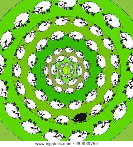 Colored Background Abstract Image Of White And Black Lambs