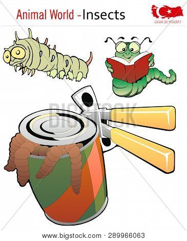 Animal World - Insects, Vector, Eps, Wild Life