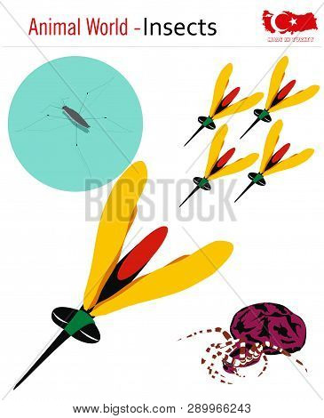 Animal World - Insects, Vector, Eps, Wild Life