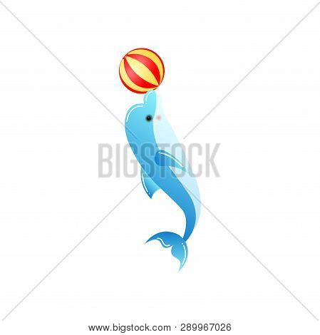 Bottlenose Smart Dolphin Playing Ball With Nose Isolated On White Background