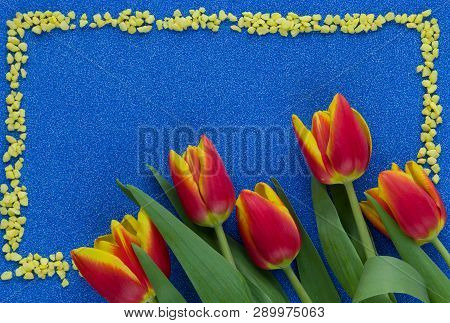 Red And Yellow Tulips On Blue Glitter Background With Copy Space