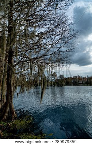 A Look Around The Majestic Riverhills Park On The Hillbourgh River In Tampa Florida.
