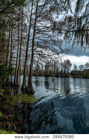 A Look Around The Majestic Riverhills Park On The Hillbourgh River In Tampa Florida.