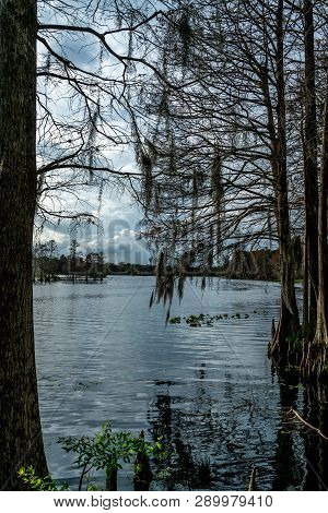 A Look Around The Majestic Riverhills Park On The Hillbourgh River In Tampa Florida.