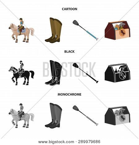 Isolated Object Of Equipment And Riding Sign. Set Of Equipment And Competition Vector Icon For Stock