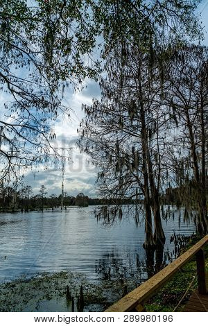 A Look Around The Majestic Riverhills Park On The Hillbourgh River In Tampa Florida.