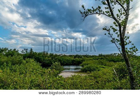 A Look Around Emerson Point Preserve And A Beautiful Sunset Over Tampa Bay.