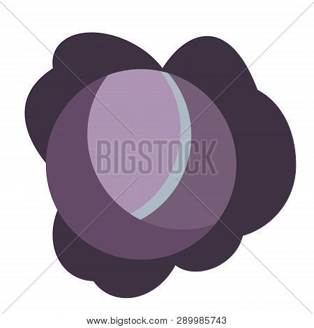 Purple Cabbage Flat Simple Illustration. Kitchen Cooking - Vegetables And Fruits Series.