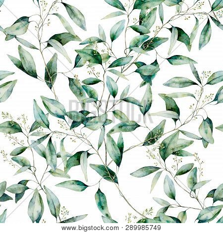 Watercolor Seeded Eucalyptus Seamless Pattern. Hand Painted Eucalyptus Branch And Leaves Isolated On