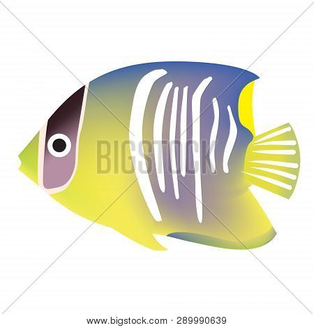 Tropical Fish Gradient Color Bright Illustration. Underwater Tropical Exotic Fish Series