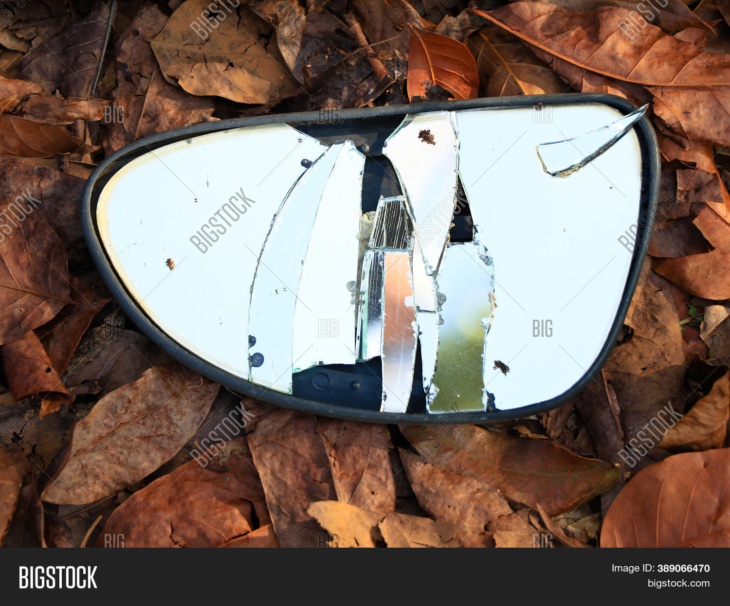 Broken Rear View Image & Photo (Free Trial) Bigstock