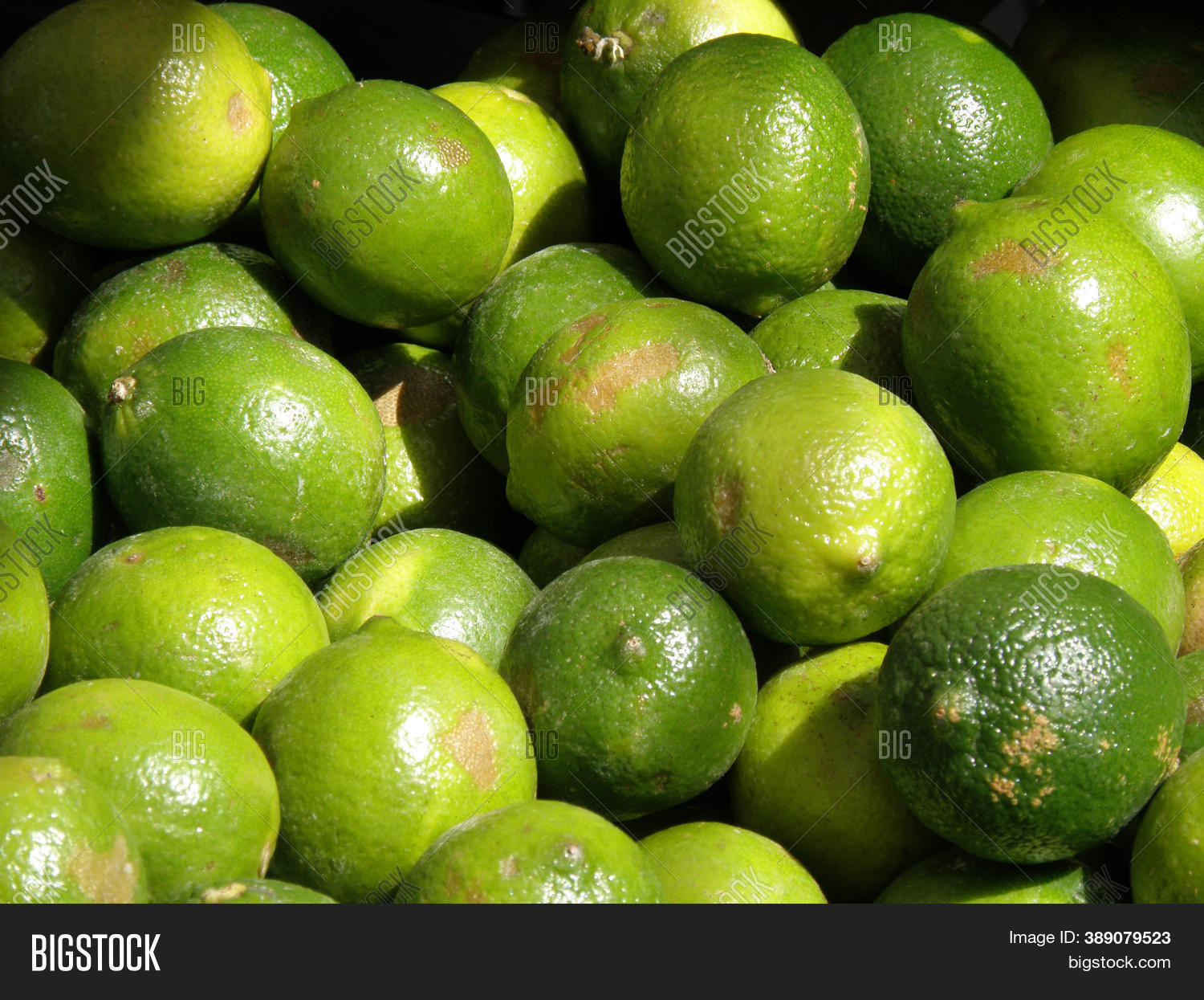 Ripe Limes Organic Image & Photo (Free Trial) Bigstock