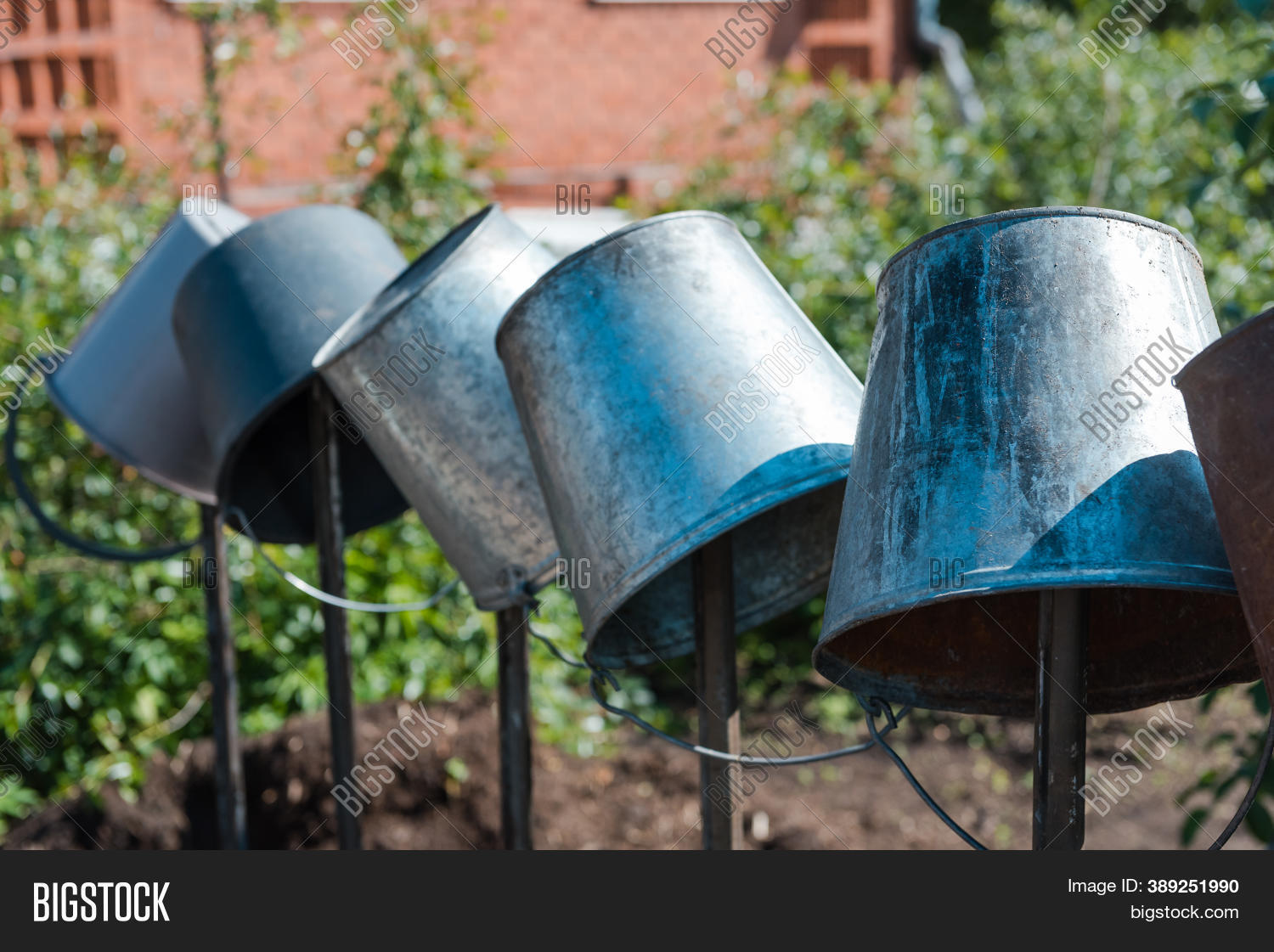 Metal Buckets Garden. Image & Photo (Free Trial) Bigstock