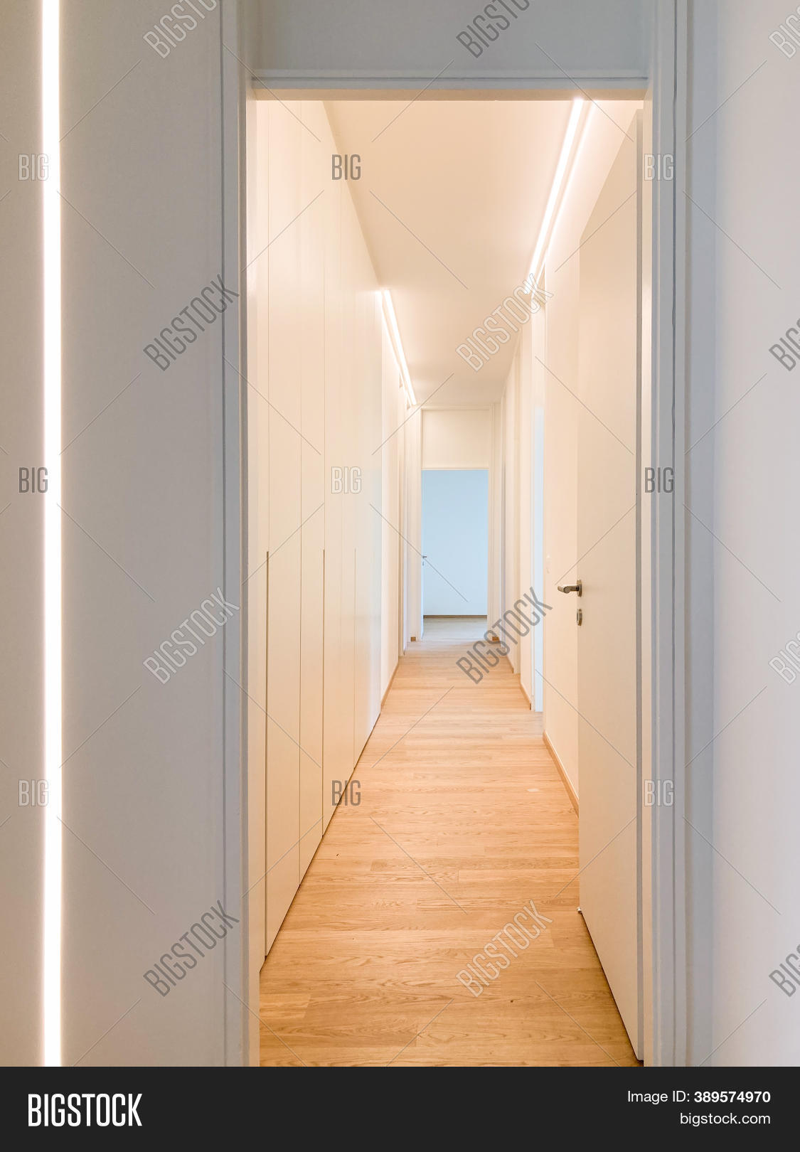 Corridor Detail Door Image & Photo (Free Trial) Bigstock