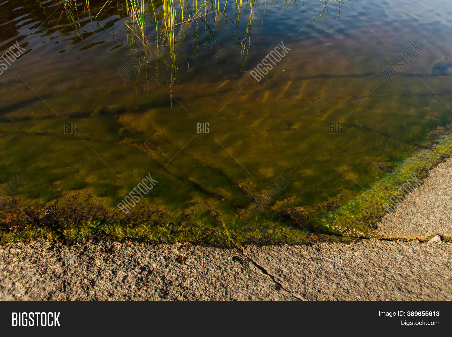 Rocky Bottom Lake Image & Photo (Free Trial) | Bigstock