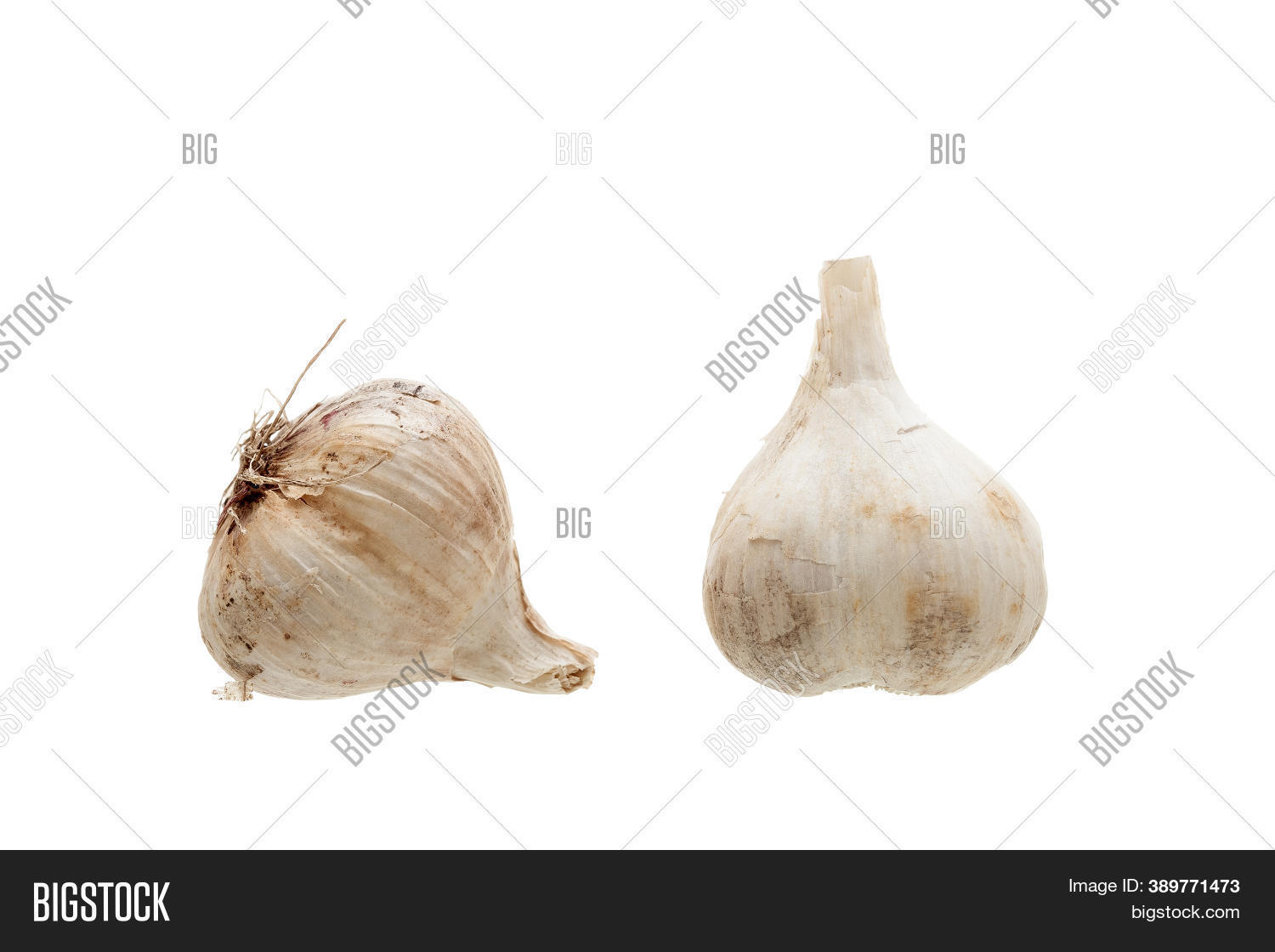 Garlic Head Fresh Image & Photo (Free Trial) Bigstock