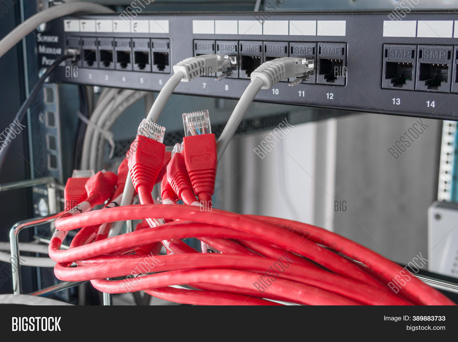 Red Patch Cables Image & Photo (Free Trial) Bigstock