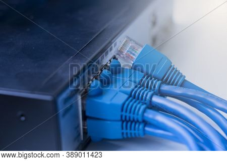 Local Network, Switching Equipment. Connectors And Cable Connections For Internet Service.