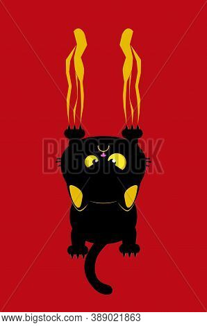 Angry Black Cat Scratching