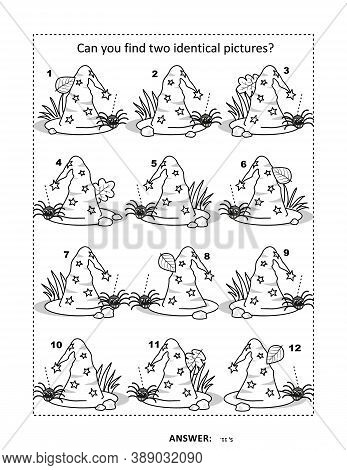 Halloween Puzzle Page With Witch Hat: Can You Find Two Identical Pictures? Answer Included.