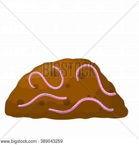 Set Of Earthworms In Pile Of Ground. Isolated Fishing Bait.