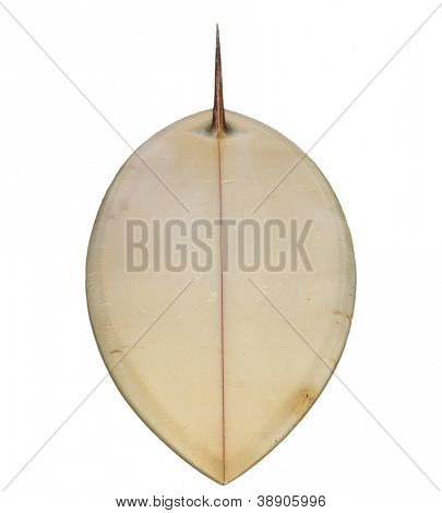 Vintage Surfboard isolated on white