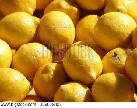 Collection Of Ripe Lemons In A Big Pile.