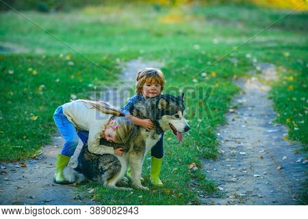 Happy Childhood. Kids Having Fun Dog Pet In Field Against Nature Background. Dog And Funny Kids Enjo