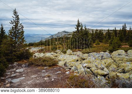Large Kurum Stones Lie In The Autumn Forest In The Mountains, Stones Covered With Moss On The Backgr