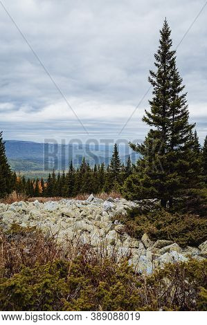 Large Kurum Stones Lie In The Autumn Forest In The Mountains, Stones Covered With Moss On The Backgr