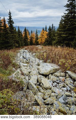 Large Kurum Stones Lie In The Autumn Forest In The Mountains, Stones Covered With Moss On The Backgr