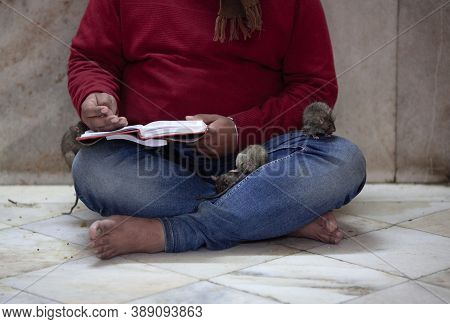 Holy Rats In The Famous Indian Karni Mata Temple, Deshnoke Near Bikaner, Rajasthan State Of India. I