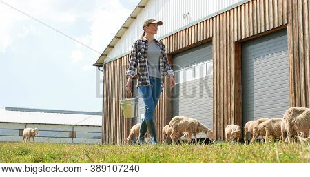 Caucasian Young Woman Shepherd In Hat Walking In Green Field And Carrying Bucket With Food Or Water 