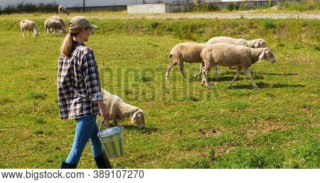 Caucasian Young Woman Shepherd In Hat Walking In Green Field And Carrying Bucket With Food Or Water 