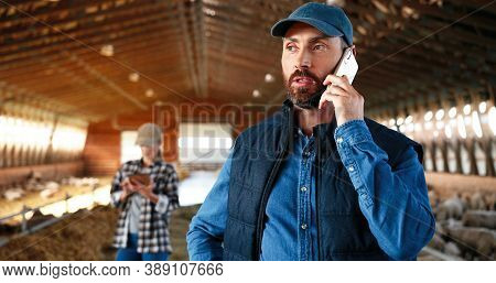 Caucasian Male Shepherd Talking On Mobile Phone In Barn With Livestock. Smiled Man Speaking On Cellp