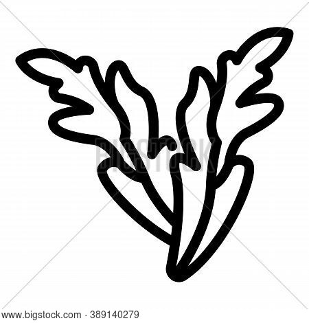 Plant Arugula Icon. Outline Plant Arugula Vector Icon For Web Design Isolated On White Background