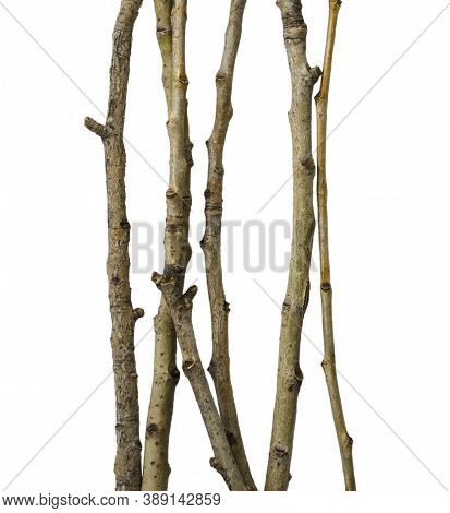 Sticks Isolated On A White Background Without A Shadow. Itams For Scene Creation