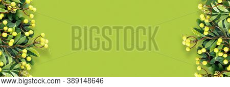 Autumn Oak And Rowan Branches With Red Berries On Green Background.
Flat Lay, Top View, Copy Space C